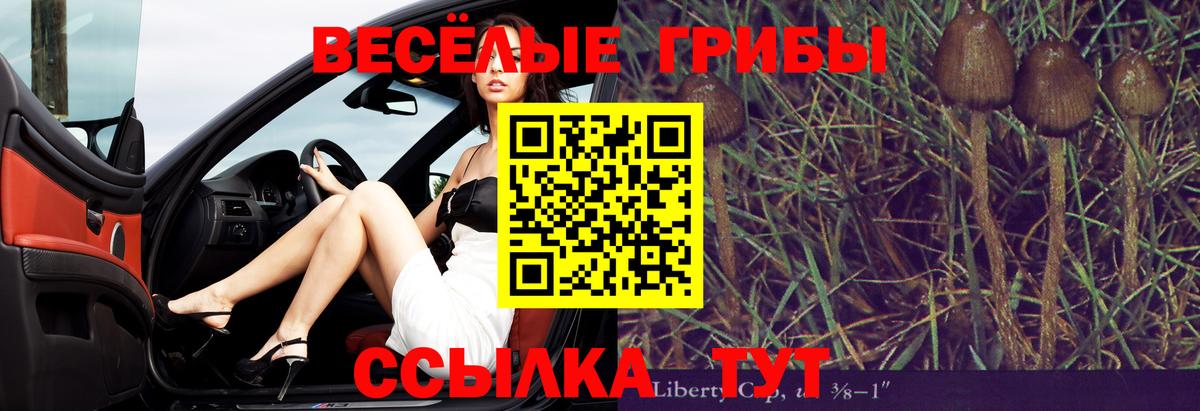 Асино  Псилоцибиновые грибы мицелий  Вход с VPN 