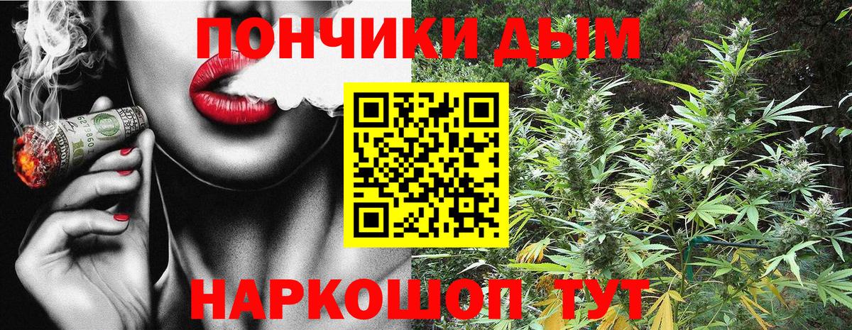 Асино  Шишки марихуана конопля  Марихуана MAZAR  Вход с VPN 